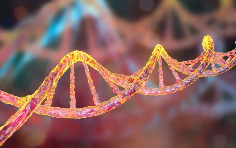 Bildschirmfoto_2-10-2025_121027_www.canva.com Bildschirmfoto_2-10-2025_121027_www.canva.com